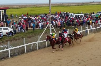The annual Boxing Day horse race meet was truly a fascinating day as seen in this photo.