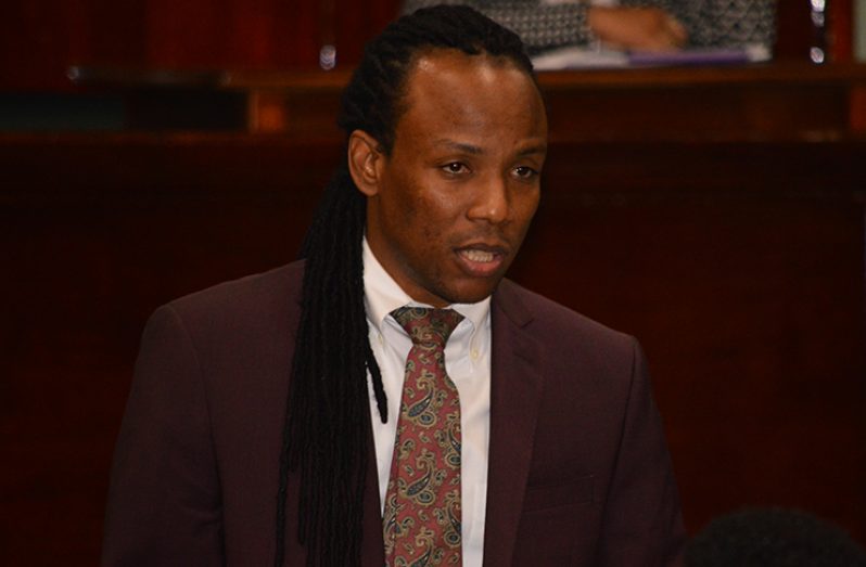 Government Member of Parliament Jermaine Figueira making his contribution