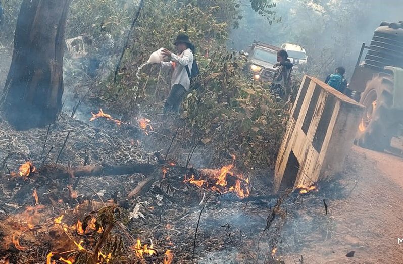 The Civil Defence Commission (CDC), in conjunction with the Guyana Fire Service (GFS); Environmental Protection Agency (EPA); Protected Areas Commission (PAC); and Regional Authorities, are working assiduously to quell wildfires in sections of Region Nine