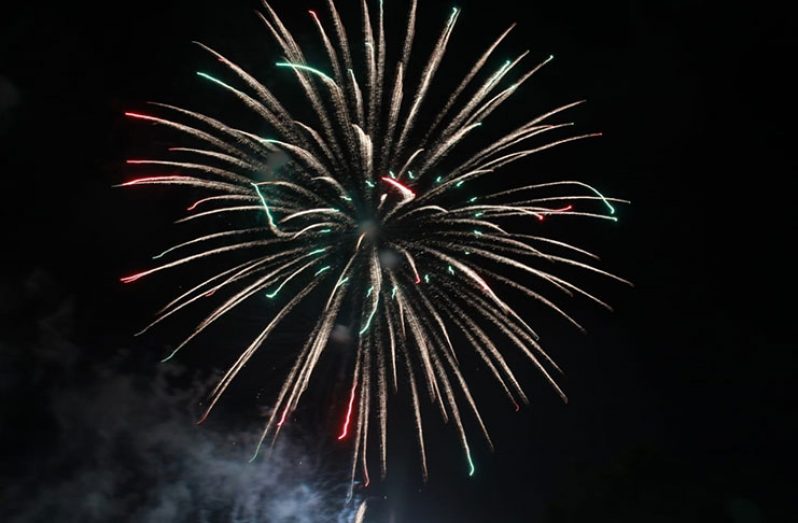 One of the larger firework displays