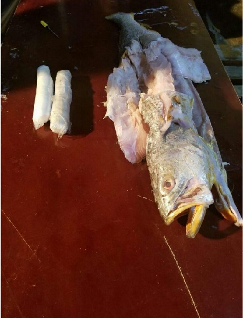 Part of the discovery made by CANU.