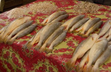 Fish