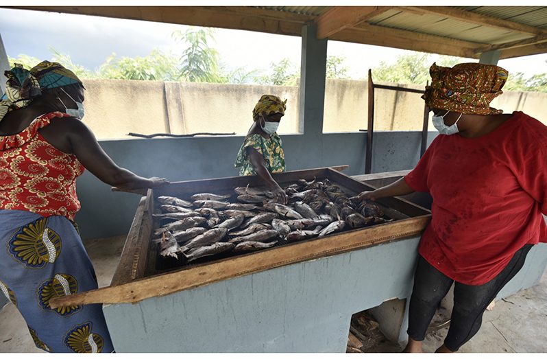Much of FISH4ACP’s work addresses the needs of artisanal fishers, fish farmers and fish workers