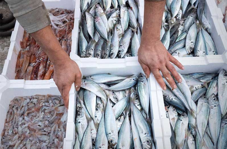 China’s decision to become a Party to the PSMA is a significant development in the implementation of the Agreement as it represents one of the most important fishing nations