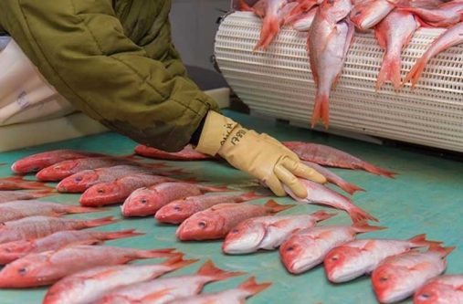 Fisheries and aquaculture systems will also receive immense government support