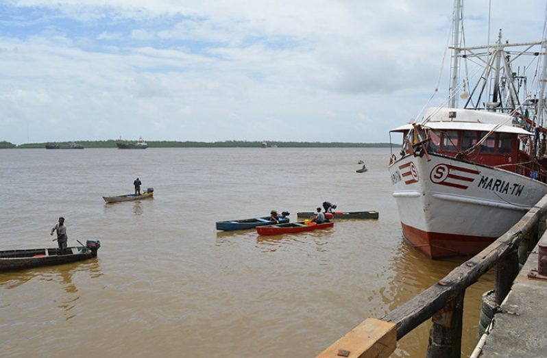 Some of the fishermen in their boats on Monday, lurking around one of the many PSI vessels at the 1,400ft wharf at Mc Doom East Bank Demerara. (Rabindra Rooplall photos)