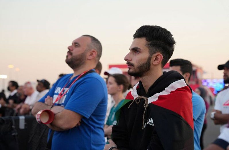 Man wears the Palestinian flag during the FIFA World Cup soccer competition in Doha, Qatar November 23, 2022 (REUTERS/Charlotte Bruneau)