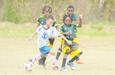 Action in the 2024 edition of the COURTS Optical Pee Wee football tournament