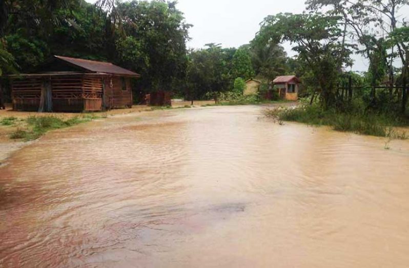 Flooding in Mahdia, Region 8. [Daniel Fraser photos]