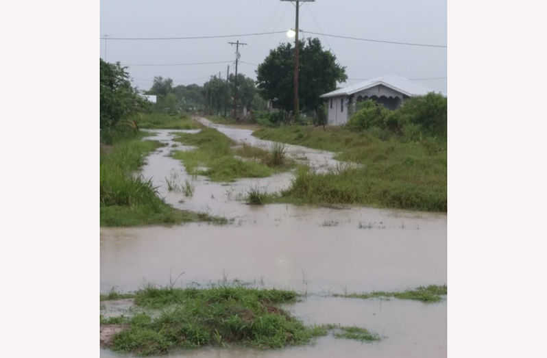 A flooded area in Region Three (Essequibo Islands – West Demerara) (CDC photo)