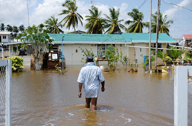 Seventy-six-year-old Ramcharran entering his heavily-flooded yard (Delano Williams photo)