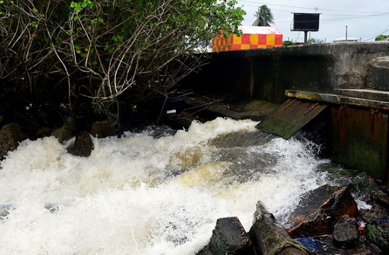 The Kitty pumps draining water from the city into the sea (Adrian Narine Photo)