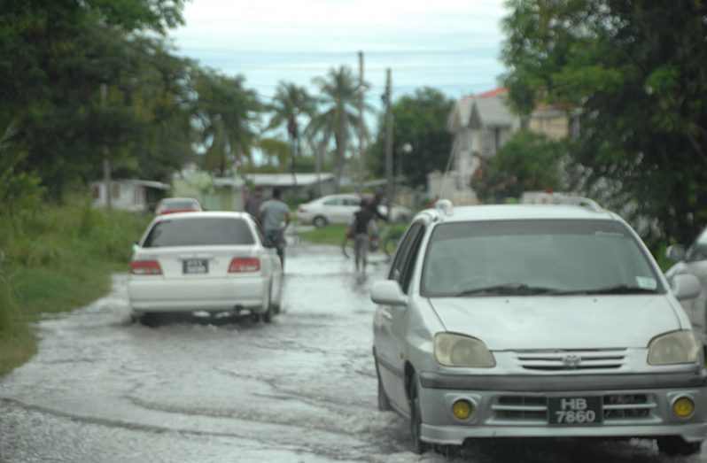 Cars navigating an inundated road at South Ruimveldt