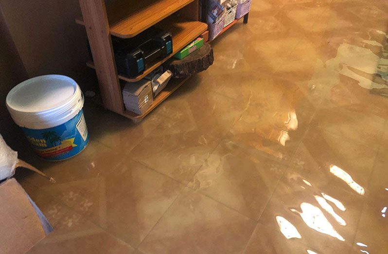 Svetlana Kingston’s flooded home