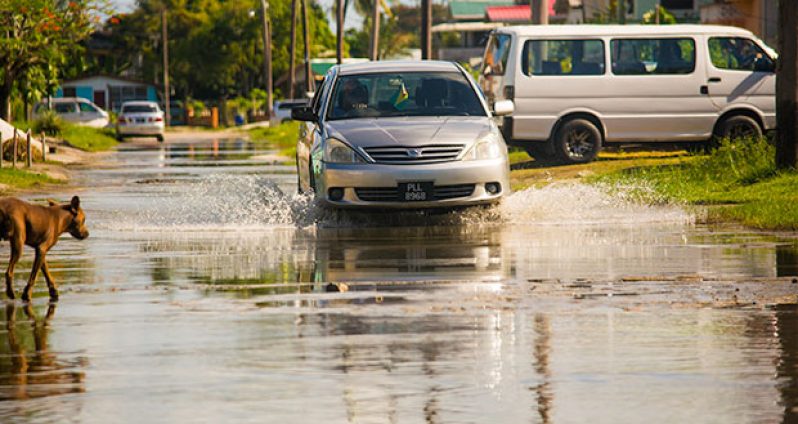 The state of Unity Place Road in North Ruimveldt late last week (Photo by Samuel Maughn)