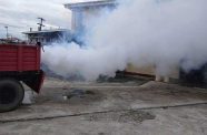 The fogging exercise