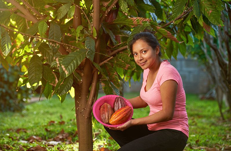 Sixteen key messages on the unparalleled role of agriculture emphasise the fact that agricultural producers and food system workers are crucial and essential in the food production system (IICA photo)