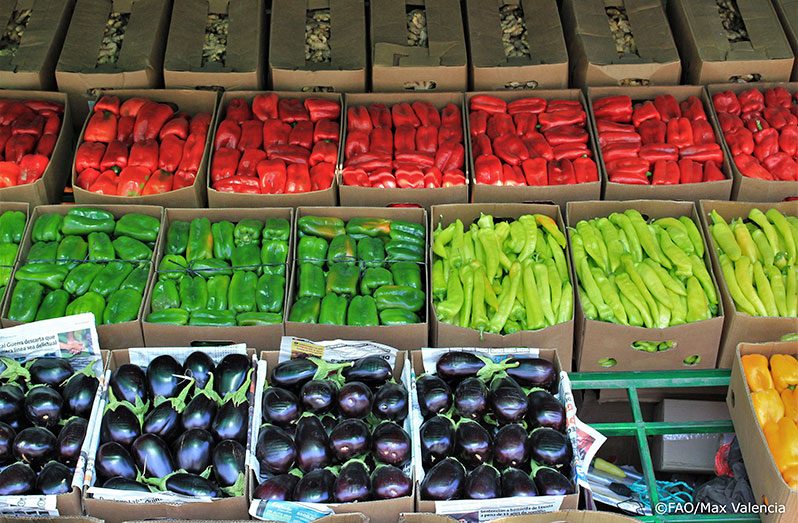 A wholesale vegetable market in Chile