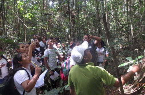 Forest Students observing one of the plants in its natural habitat during their trip to the Iwokrama rainforest last week