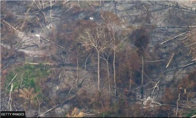 Fires in August in Brazil ere extremely active but researchers say that clearing for farming is having a bigger impact