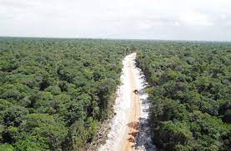 Guyana is the first country to receive REDD+ carbon credits for successful protection of forests against loss, degradation