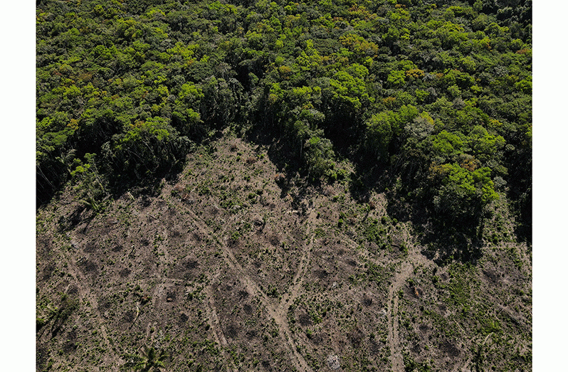 An aerial view shows a deforested plot of the Amazon rainforest in Manaus, Amazonas State, Brazil July 8, 2022. REUTERS/Bruno Kelly/File Photo
