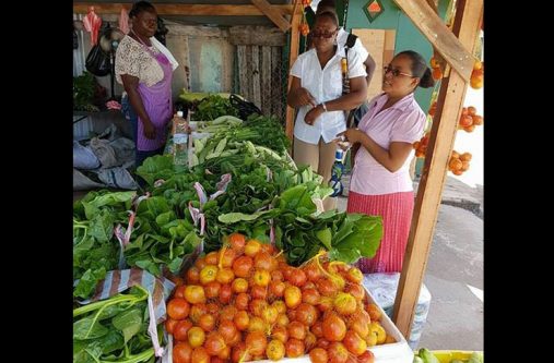 Lindeners getting their daily requirement of fresh, leafy vegetables from Ifill’s stall on Pine Street, Mackenzie