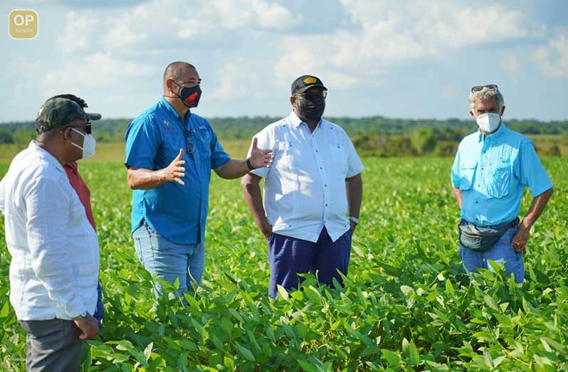 President Dr. Irfaan Ali, accompanied by Agriculture Minister Zulfikar Mustapha (left), on Monday visited
the $45M soya bean and corn trial farm located along the Berbice River (Office of the President photo)