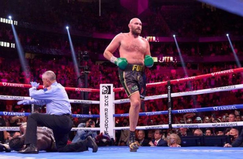 Tyson Fury knocked out Deontay Wilder last month to retain his world title.