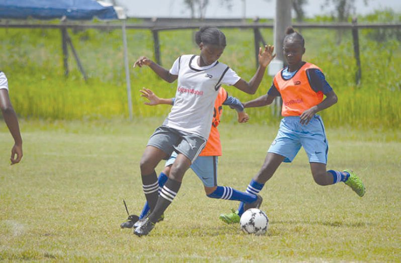 New Girls’ finalists will be crowned today in the ExxonMobil U-14 schools football tournament.