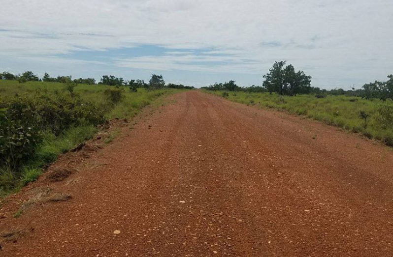 The roadway which is suspected to have been  converted for use as a runway. (GDF Photo)