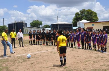 Players assemble during the opening ceremony of the BFA League.