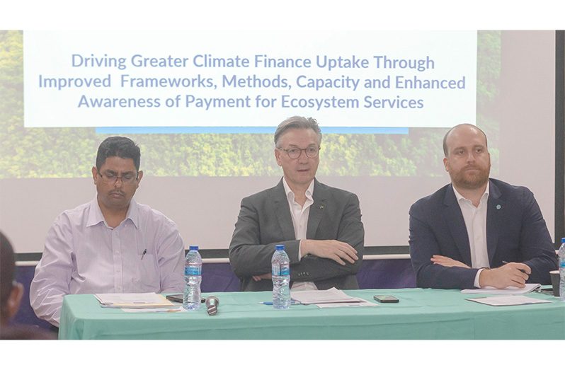 From left, Commissioner of the Guyana Forestry Commission, Edward Goberdhan, EU Ambassador to Guyana, Rene van Nes, and GGGI Latin America and Caribbean (LAC) Regional Director, Ferruccio Santetti (Photo by Japheth Savory)