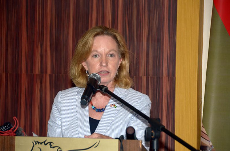 United States Ambassador to Guyana, Sarah-Ann Lynch addresses the audience at the Pegasus Hotel on Guyana’s Natural Resources Fund (NRF) (Adrian Narine photo)