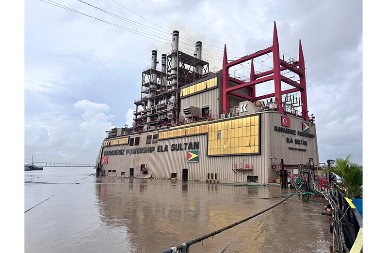 The power ship docked at the Demerara Sugar Terminal, Ruimveldt (Shamar Meusa photos)