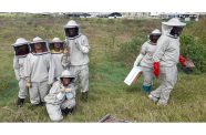 GSA students harvested a second honey batch Friday morning