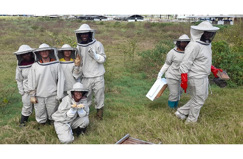 GSA students harvested a second honey batch Friday morning