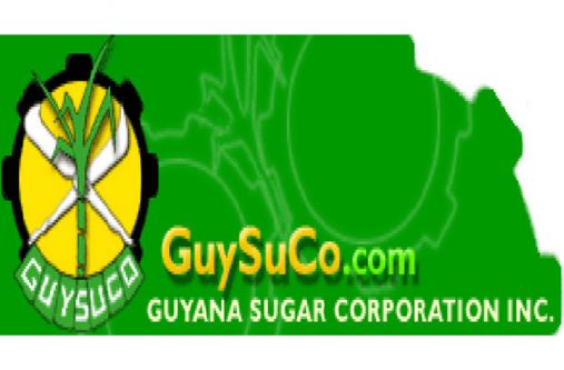 GUYSUCO