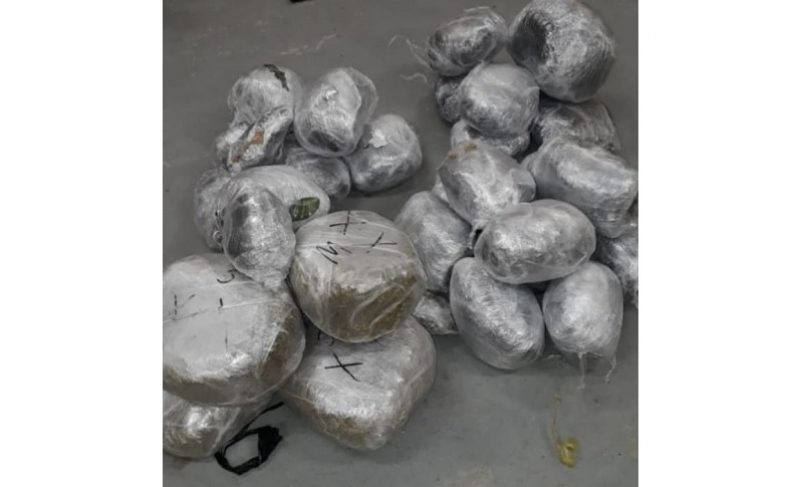 The quantity of marijuana which the police seized.