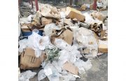 Garbage in Georgetown