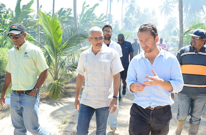 Minister Gaskin being informed about the potential of the coconut industry during a walkabout at Stoll Estate