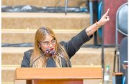 Parliament and prominent legal professional, Geeta Chandan-Edmond