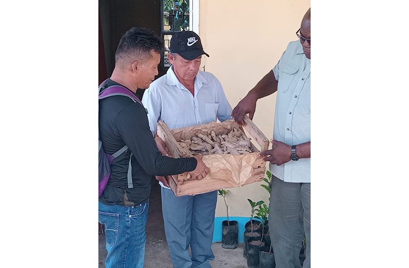 Region Two official, Arnold Adams handing over ginger to farmers