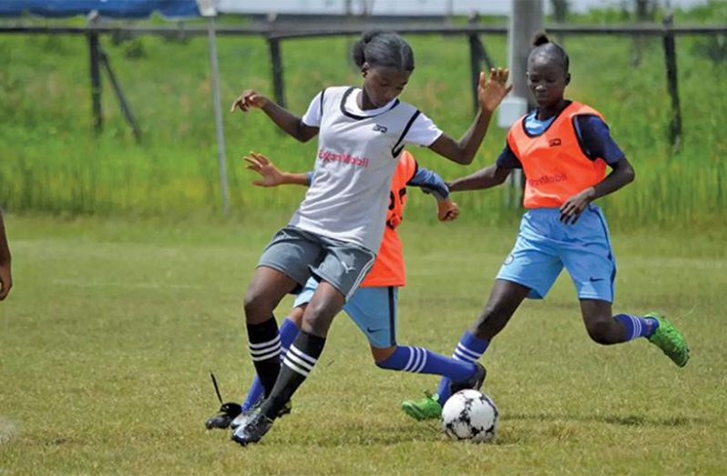 FLASHBACK! Action in the Exxonmobil boys’ and girls’ U-14 tournament