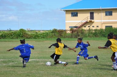 Part of the action between Enterprise Primary (blue) and eventual victors St Stephen’s Primary (yellow).
