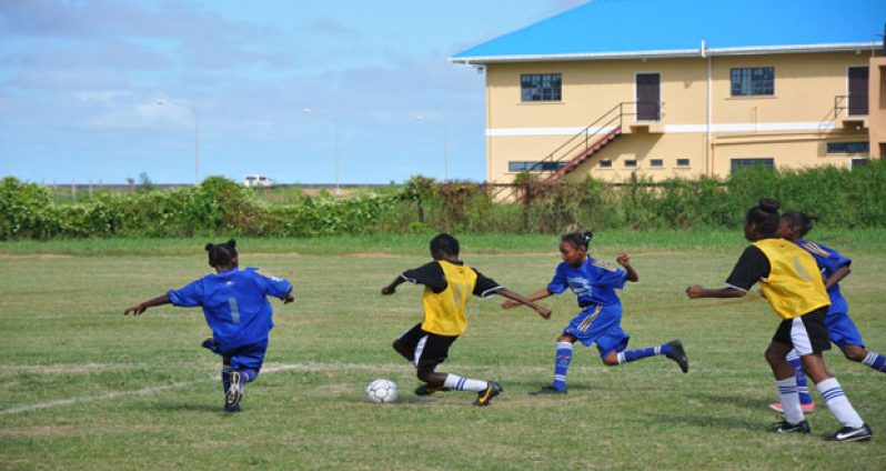 Part of the action between Enterprise Primary (blue) and eventual victors St Stephen’s Primary (yellow).