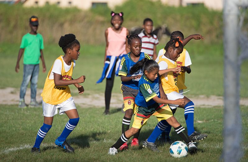 The finalists of the Smalta Girls U-11 Schools Football tournament will be determined today.