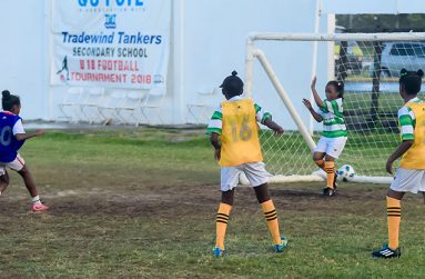 One of the six goals scored by St Pius in rounds three and four of the Smalta Girls U-11 football tournament. (Delano Williams photo)