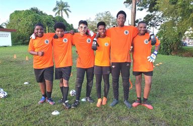 A group from the Eon DeViera Goalkeeping Academy Inc