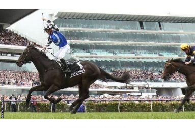 Gold Trip had won only one race before the Melbourne Cup but was runner-up in the Caulfield Cup last month